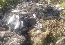 Fly-tippers leave their mark on North Farnham road