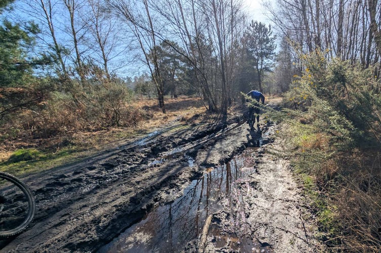 Cyclist struggling to get through Bridleway 40
