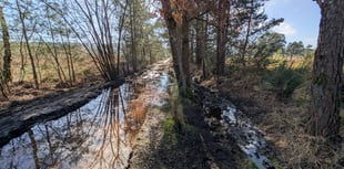 Residents claim Waverley contractors churn up Frensham bridleway