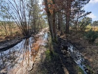 Residents claim Waverley contractors churn up Frensham bridleway