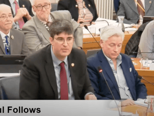 Waverley council leader apologises for unitary report comments