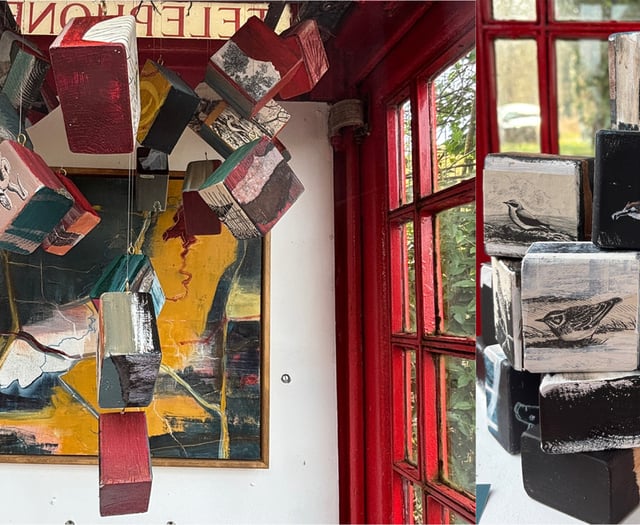 Nature art on blocks at Red Cube Gallery in Frensham
