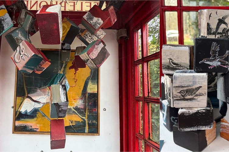 Steph Draper's We Are Nature exhibition at the Red Cube Gallery in Frensham, March 2025.