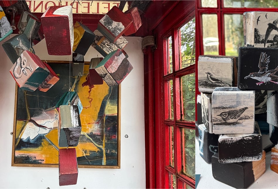 <p>Steph Draper's We Are Nature exhibition at the Red Cube Gallery in Frensham</p>