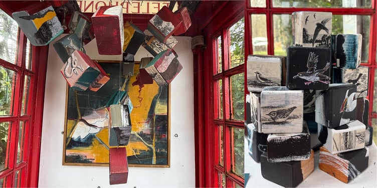 Steph Draper's We Are Nature exhibition at the Red Cube Gallery in Frensham, March 2025.