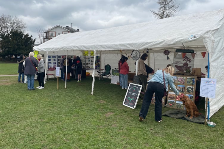 One of the stalls at the Farnham in Bloom Community Day in Gostrey Meadow.