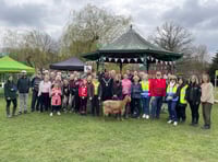 WATCH: Farnham in Bloom beds in for day of community spirit