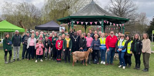 WATCH: Farnham in Bloom beds in for day of community spirit