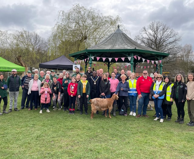 WATCH: Farnham in Bloom beds in for day of community spirit