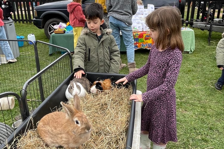 Children pet some rabbits at the Farnham in Bloom Community Day event.