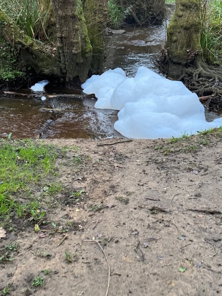 Wey contamination foam haslemere PIC1