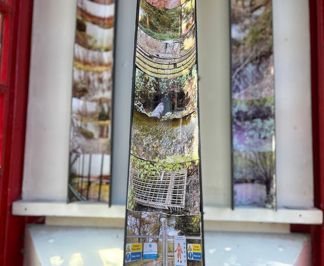 Sorry state of rivers exposed in Frensham phone box exhibition