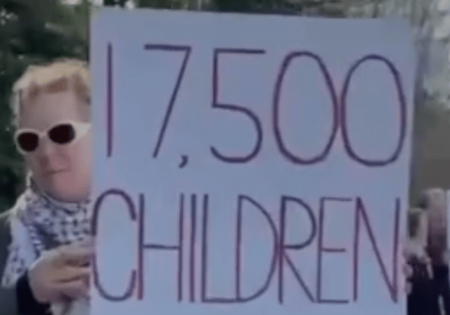 WATCH: Farnham protests planned by pro-Palestinian campaigners