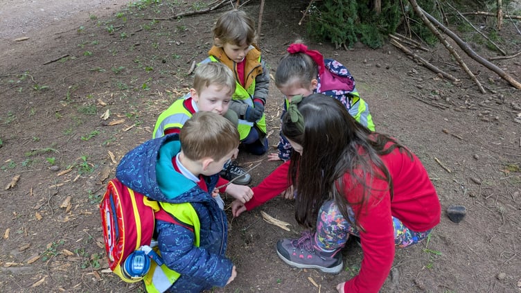 Forest artwork activities for schoolchildren at Nutcombe Bottom.