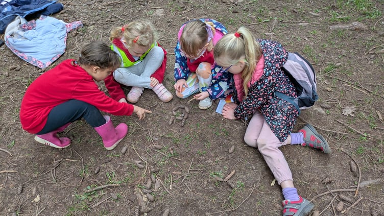 More forest artwork by Dunster and Dulverton first school pupils.