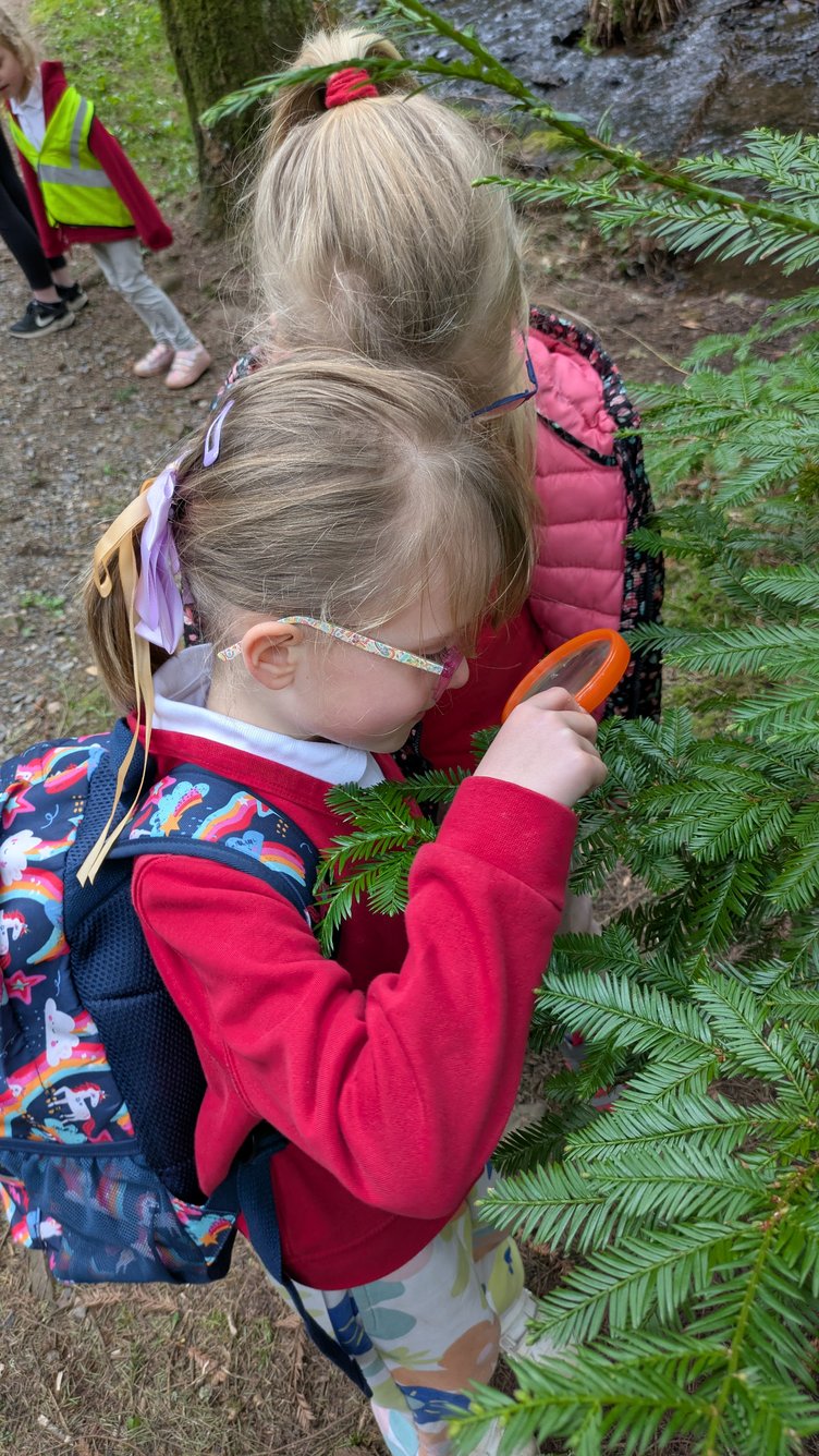 Hunting for mini beasts in the woods at Nutcombe Bottom, near Dunster.