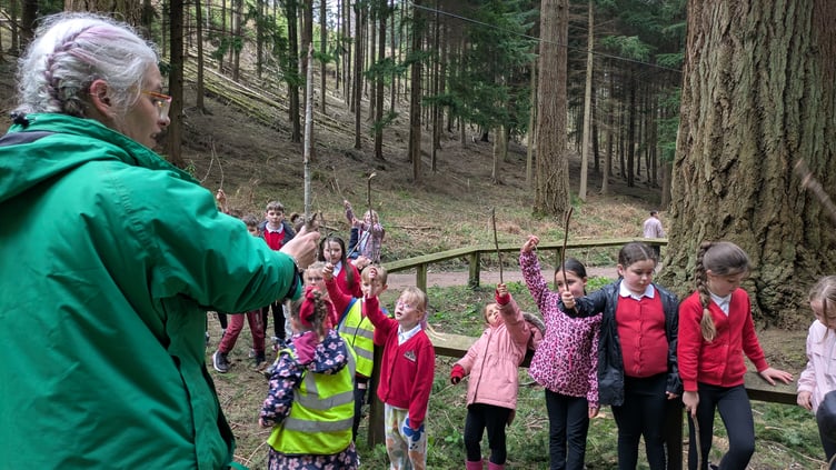 Youngsters prepare to measure England's tallest tree, a Douglas fir at Nutcombe Bottom, near Dunster.