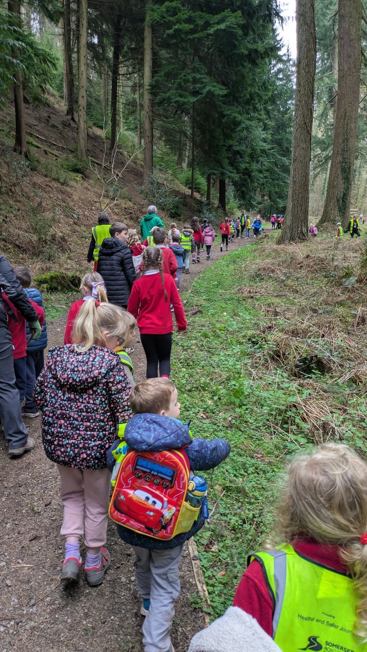 Dunster and Dulverton schoolchildren exploring the Tall Trees Trail in Nutcombe Bottom.