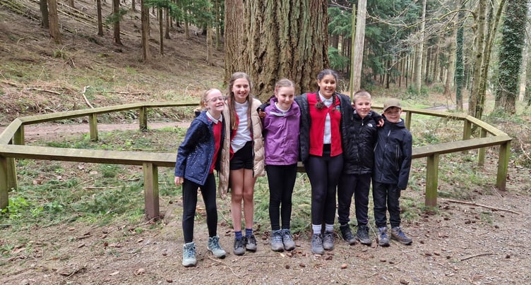 Some of Dulverton First School's year six pupils at the foot of England's tallest tree, in Nutcombe Bottom, near Dunster.