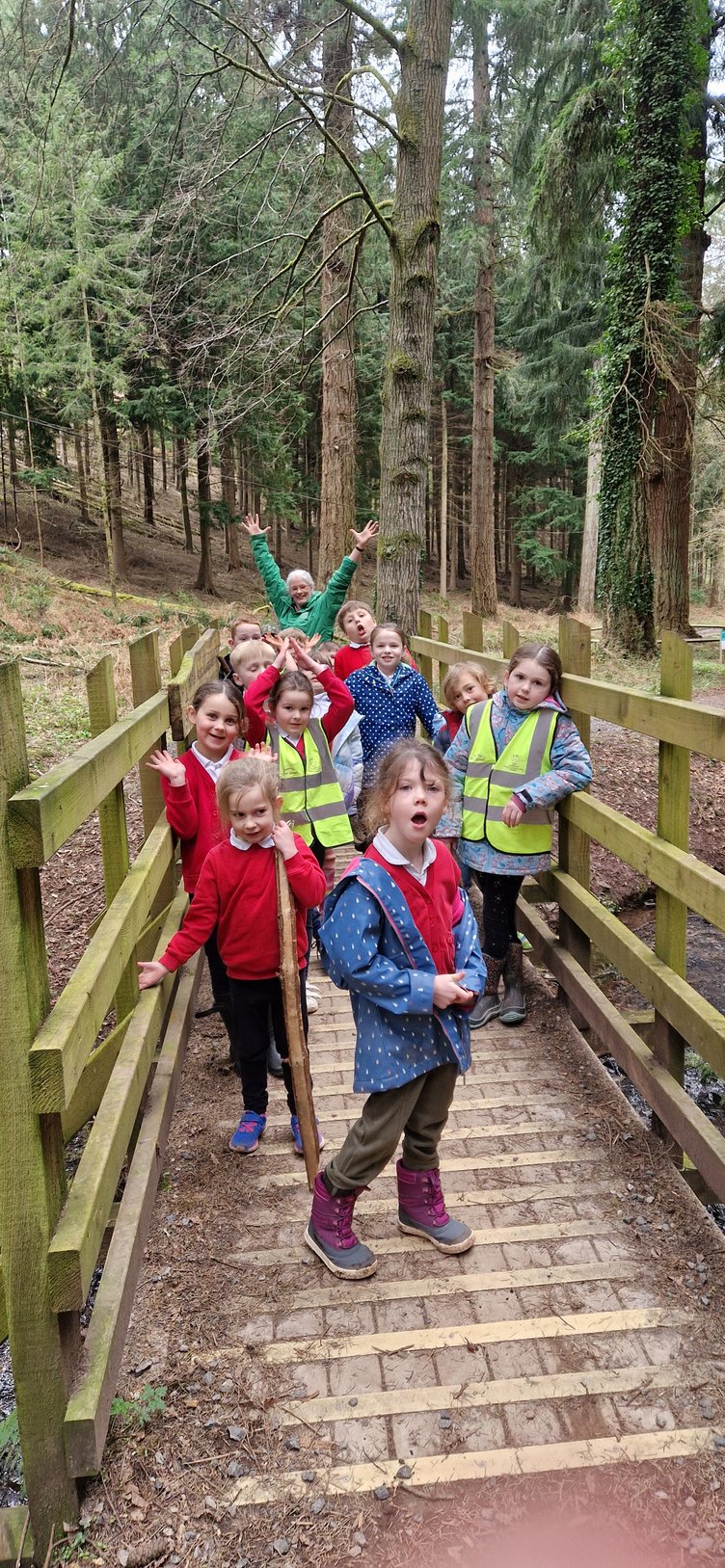 Pupils at the Tall Trees Trail in Nutcombe Bottom, near Dunster, with community ranger Daisy Barber.