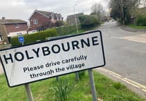 Village parking survey comes under fire