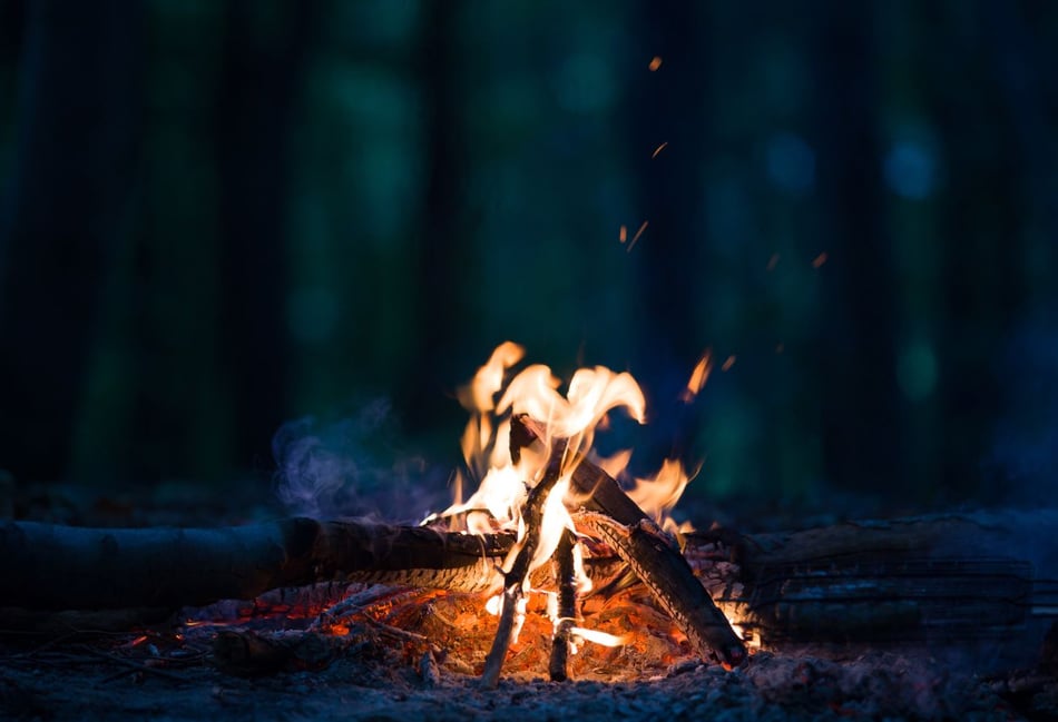 <p>Campfires and BBQs are not allowed on any of Waverley’s parks and countryside sites</p>