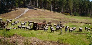 Netflix returns to Farnham for The Witcher Season 5 filming