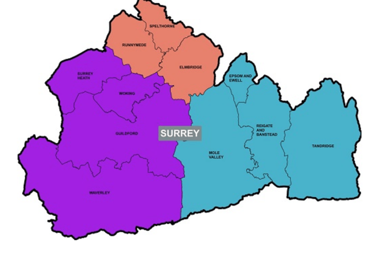 Waverley Borough Council's preferred unitary model.