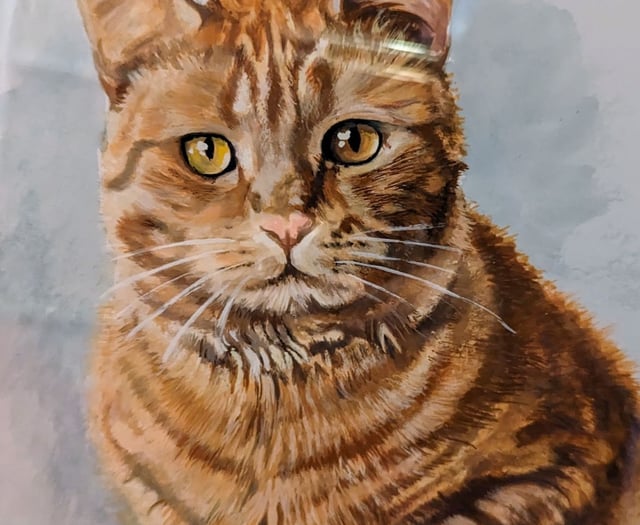 Grandson ‘killed’ grandmother’s cat at relative’s home