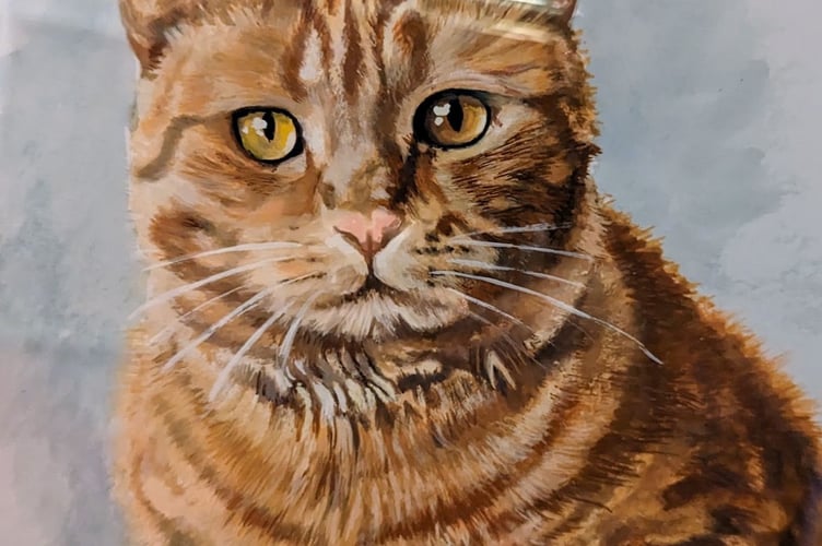 Teddy Bear the cat