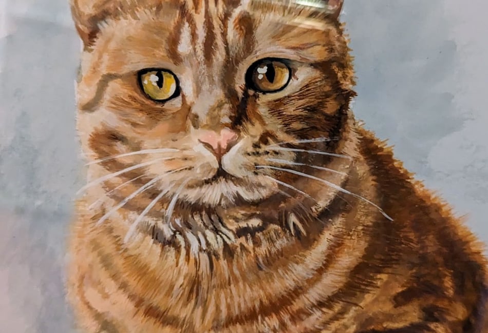 <p>A post mortem revealed the feline’s injuries were from blunt force trauma</p>