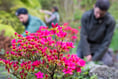 Weather has been great for plants, says Eden Project