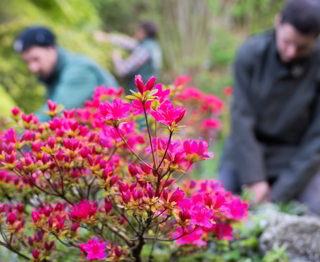 Weather has been great for plants, says Eden Project