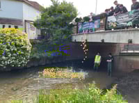 WATCH: The Great Farnham Duck Race 2025 makes a splash
