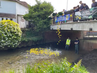 WATCH: The Great Farnham Duck Race 2025 makes a splash