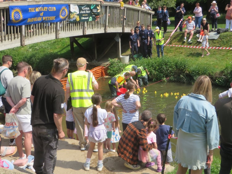 Drama at the finish line of the Great Farnham Duck Race 2025
