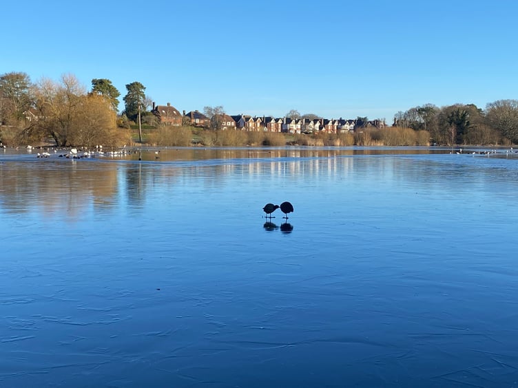 Frozen Petersfield Heath Pond 2024