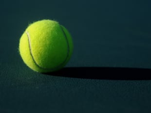 Liss tennis club wins top award