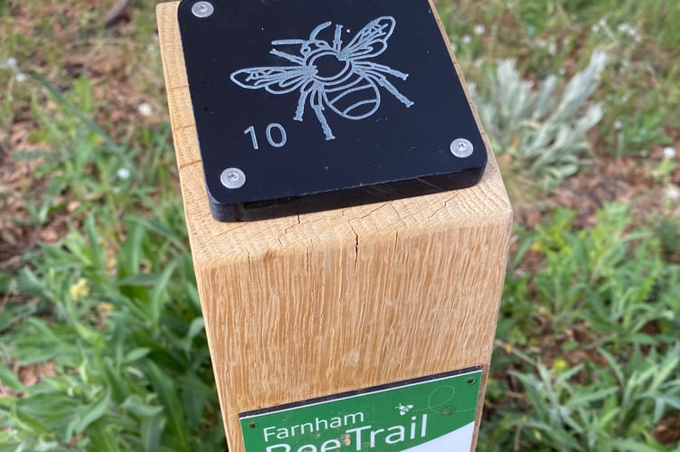 Bee Trail Rubbing Plate