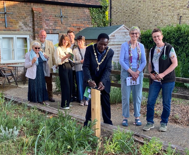 Visitors swarm to museum garden for Farnham Bee Trail launch