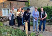 WATCH: Visitors swarm to museum garden for Farnham Bee Trail launch