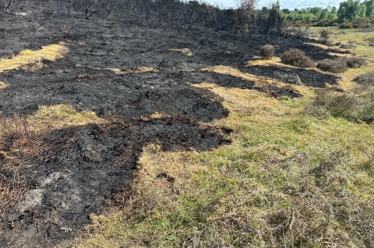 The devastating results of a wildfire at Chapel Common near Lurgashall