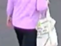 Police seek pink jumper-wearing witness in stabbing investigation