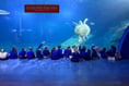 Pupils enjoy exciting trip to National Marine Aquarium