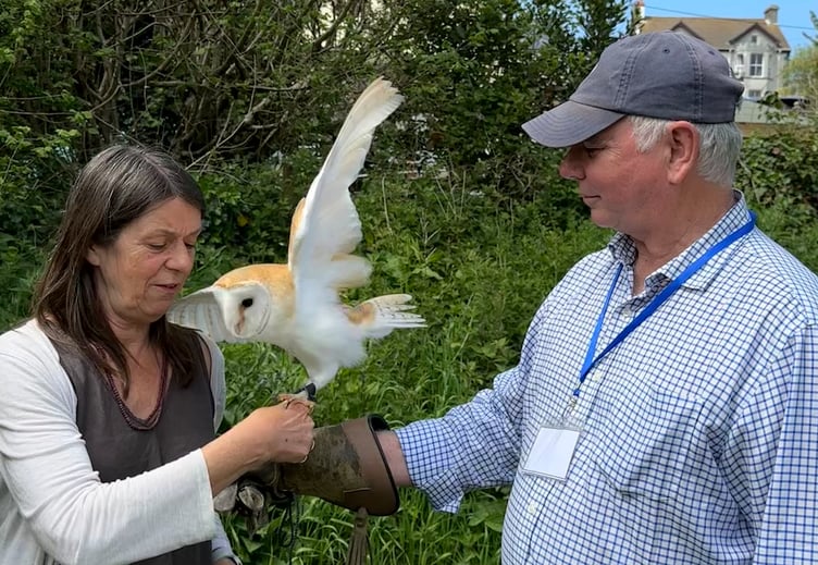 Visitors could get close up with an owl. Picture: Tiwardrai Fest