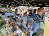 Farnham’s Sustainability Festival offers a day of green inspiration