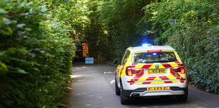 WATCH: Firefighters tackle woodland blaze near Waverley Abbey