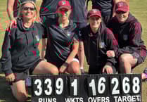 Grayshott's softball cricket teams beat Farnham and Farncombe