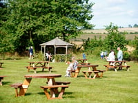 National Beer Garden Day: celebrate by supporting your local in Waverley, as pubs and bars continue to shut across the UK