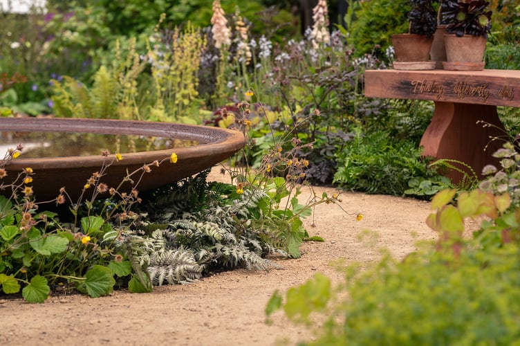 A space to think differently: the RHS Chelsea garden designed to reflect neurodivergent minds